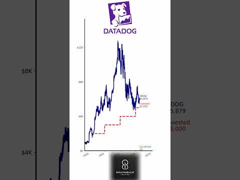$1K/Year into Datadog Since 2019: Here&#039;s What You&#039;d Have Now! 📊🚀