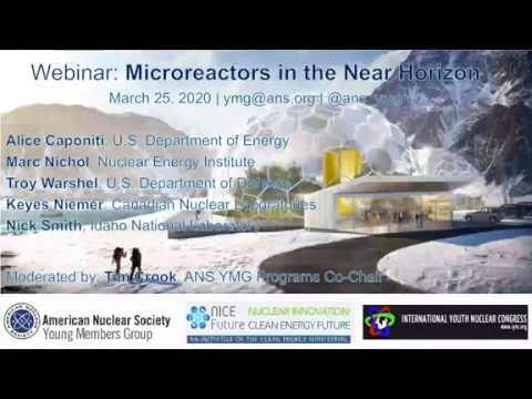 Microreactors in the Near Horizon: Innovative Solutions for Clean Energy Systems
