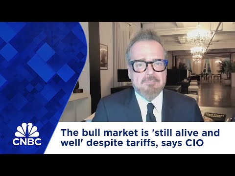 The bull market is &#039;still alive and well&#039; despite tariffs, says CIO