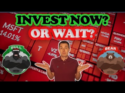 Invest Now or Wait??? - 2025 Stock Market Roller Coaster