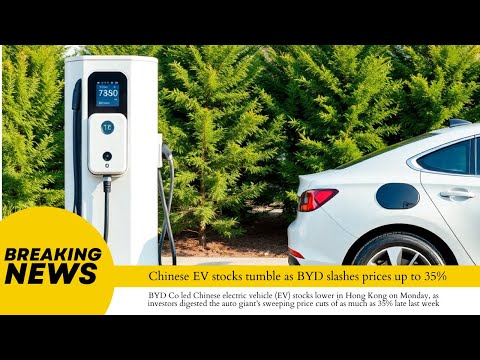 BYD&#039;s Bold Move Price Cuts Shake Chinese EV Market