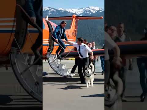 Heroic Dog Warns Pilot Of Plane Malfunction! #shorts