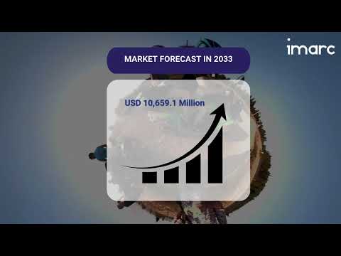 360 Degree Camera Market Size, Share, Trends, Growth, And Forecast 2025-2033