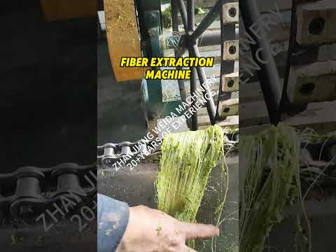 FIBER EXTRACTION MACHINE #ZHANJIANGWEIDAEXTRACTION