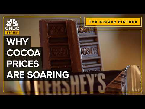 How The Price Of Chocolate&#039;s Key Ingredient Surged More Than 300% In 2024