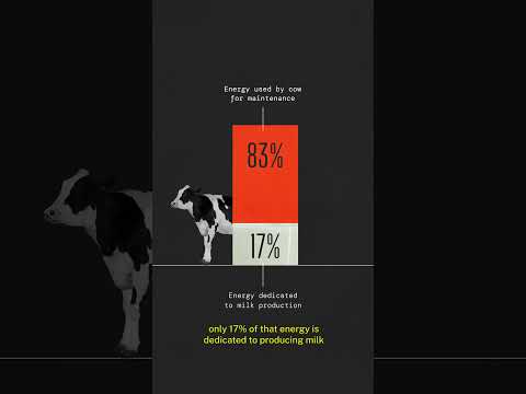 Is Precision Fermentation Sustainable?